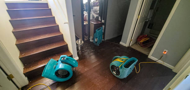 Best Water damage mitigation services  in Kingsland, TX