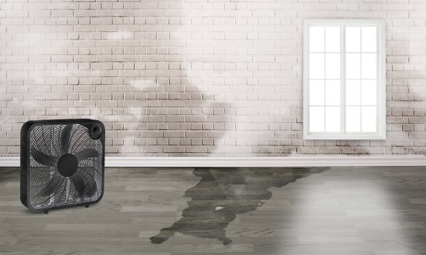 Best Residential water damage restoration  in Kingsland, TX