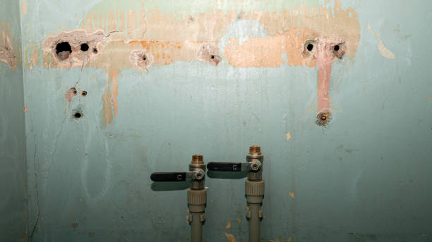 Professional Water damage restoration in Kingsland, TX