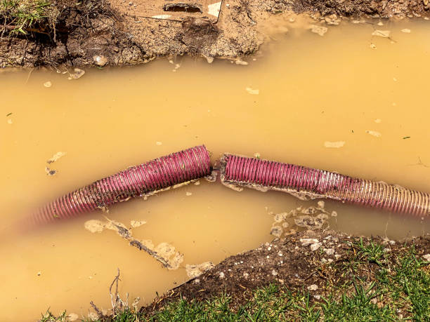 Best Flood damage cleanup  in Kingsland, TX